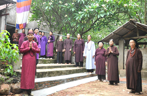 30[-]NĂM[-]VACNE:[-]Vinh[-]danh[-]Cây[-]Di[-]sản[-]Việt[-]Nam[-]tại[-]Hà[-]Nội,[-]Thừa[-]Thiên[-]-[-]Huế,[-]Hải[-]Dương,[-]Hải[-]Phòng,[-]Cao[-]Bằng,[-]Phú[-]Thọ,[-]Hòa[-]Bình,[-]Bắc[-]Ninh,[-]Vĩnh[-]Phúc,[-]Nghệ[-]An[-]